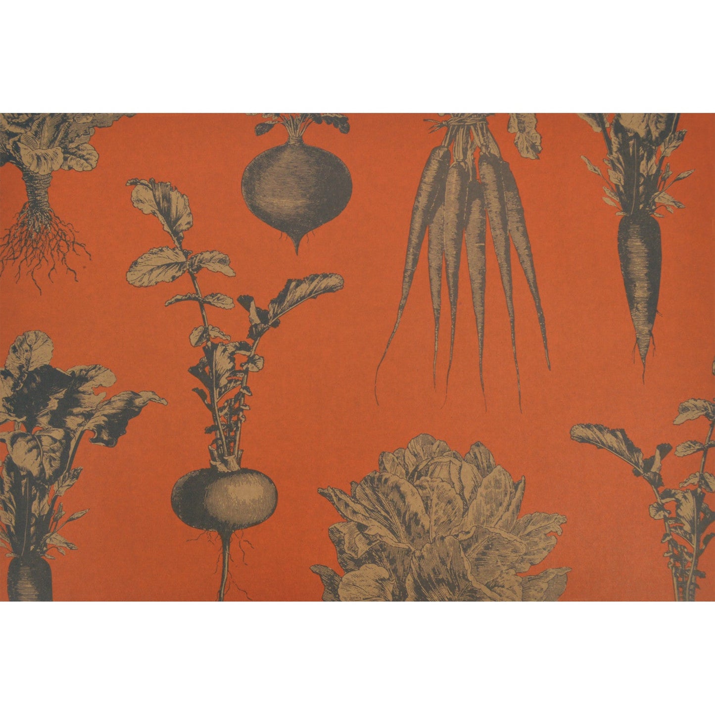 Harvest Vegetable (Persimmon) Placemat