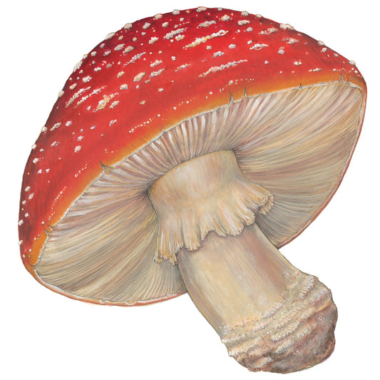 Die-cut Mushroom Placemat